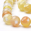 Dyed Natural Fire Crackle Agate Beads Strands G-Q462-127D-8mm-3