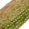 Electroplate Glass Faceted Rondelle Beads Strands EGLA-D020-8x5mm-58-2
