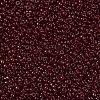 MIYUKI Round Rocailles Beads SEED-JP0008-RR2410-3