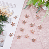 SUPERFINDINGS 12Pcs Star Brooch Pin JEWB-FH0001-43-5