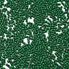 Baking Paint Glass Seed Beads X-SEED-S042-05B-66-3