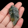Natural Indian Agate Carved Healing Leaf Stone PW-WG31545-06-1