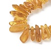 Natural Amber Beads Strands G-L095-D01-05-4