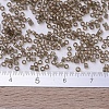 MIYUKI Delica Beads SEED-J020-DB0123-4