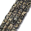 Natural Dalmatian Jasper Beads Strands G-Z006-B08-1