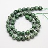 Natural Green Spot Jasper Beads Strands X-G-L148-14mm-01-2