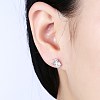 Exquisite 925 Sterling Silver Cubic Zirconia Stud Earrings EJEW-BB20091-2