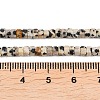 Natural Dalmatian Jasper Beads Strands G-G345-C14-2x4mm-5