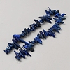 Natural Lapis Lazuli Beads Strands G-TAC0005-02D-2