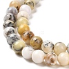 Natural African Opal Beads Strands G-B048-B03-01-3