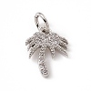 Brass Micro Pave Cubic Zirconia Charms ZIRC-F132-41P-1