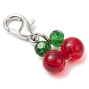 Glass Cherry Pendant Decoration HJEW-JM02593-5