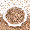Transparent Inside Colours Glass Seed Beads SEED-T007-13A-1