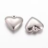 Tarnish Resistant 304 Stainless Steel Charms STAS-G076-01P-1