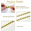 Nylon & Gold Metallic Lace Trim OCOR-WH0070-225A-4