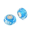 Lampwork & Brass Core European Beads LAMP-P019-01P-30-2