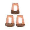 Resin & Wood Pendants LS-WOOD-F015-11B-1