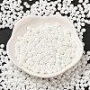 6/0 Glass Seed Beads X1-SEED-M012-01A-16-2