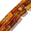 Natural Agate Beads Strands G-H295-E01-03-1