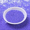 MIYUKI Round Rocailles Beads SEED-G007-RR0483-2