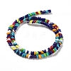 Handmade Lampwork Beads Strands LAMP-F022-01D-2