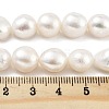 Natural Cultured Freshwater Pearl Beads Strands PEAR-P062-31A-5