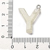 Luminous Resin Pendants X1-RESI-I059-Y02-5