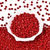 Opaque Colours Glass Seed Beads SEED-Q042-01A-D05-2