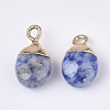 Electroplate Natural Blue Spot Jasper Charms G-S344-09I-2