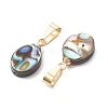 Abalone Shell/Paua Shell Pendants PALLOY-JF05265-2