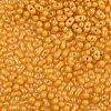 Baking Paint Glass Seed Beads SEED-L011-09A-22-3