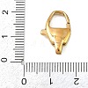 316 Stainless Steel Lobster Claw Clasps STAS-C154-02D-G-3