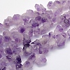 Natural Amethyst Beads Strands G-G697-D06-1