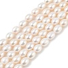 Natural Cultured Freshwater Pearl Beads Strands PEAR-I007-01D-07A-2