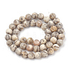 Natural Gemstone Beads Strands G-T106-242-3