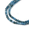 Natural Apatite Beads Strands G-K366-C07-2mm-4