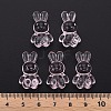 Transparent Acrylic Beads LS-MACR-S373-81-B03-5