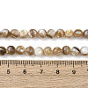 Natural Freshwater Shell Beads Strands SHEL-K006-71A-4