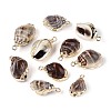 Electroplate Natural Sea Shell Pendants SSHEL-T017-44-1