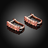 Two Rows Brass Cubic Zirconia Hoop Earrings EJEW-BB16135-4