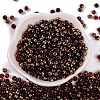 Glass Seed Beads SEED-A032-06C-2