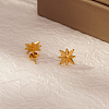 Simple Stainless Steel Geometric Star Stud Earrings YE9764-4