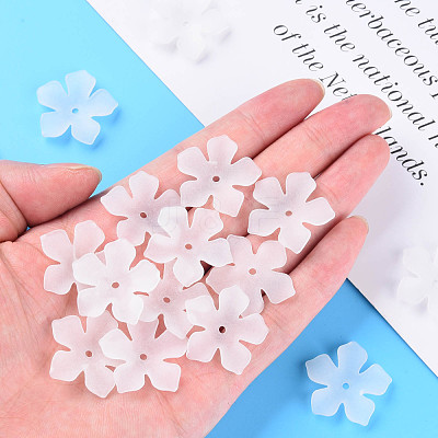 Transparent Acrylic Beads MACR-S373-119-D01-1