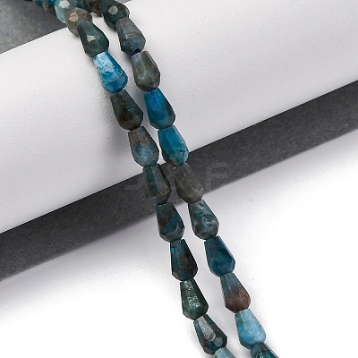 Natural Apatite Beads Strands G-C080-B06-01A-1
