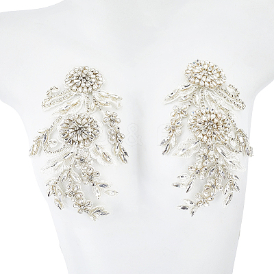 Polyester with Glass Rhinestone Sewing Decorate DIY-WH20032-138A-1