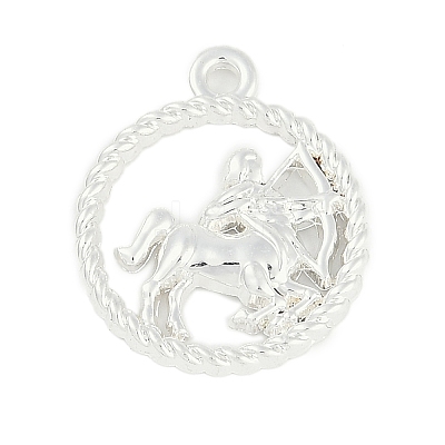 Twelve Constellations Alloy Pendants PALLOY-Q006-01D-S-1
