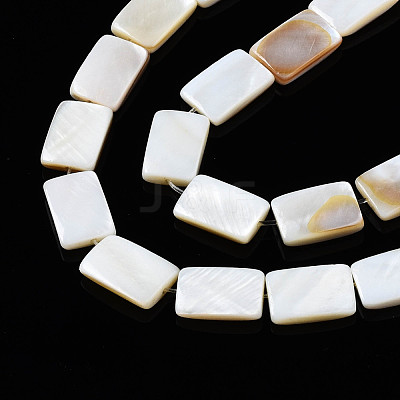 Natural Freshwater Shell Beads Strands SHEL-Q024-013-1