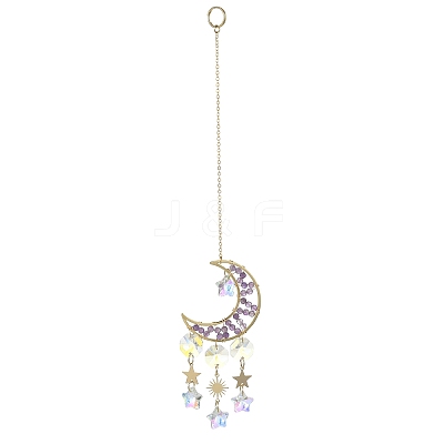 Natural Amethyst Moon Pendant Decorations HJEW-JM01166-1