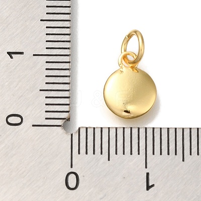 Rack Plating Brass Charms KK-I720-51G-03-1