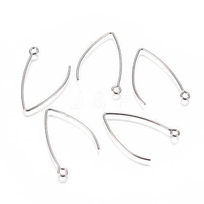 Tarnish Resistant 304 Stainless Steel Earring Hooks X-STAS-F227-26A-P-1